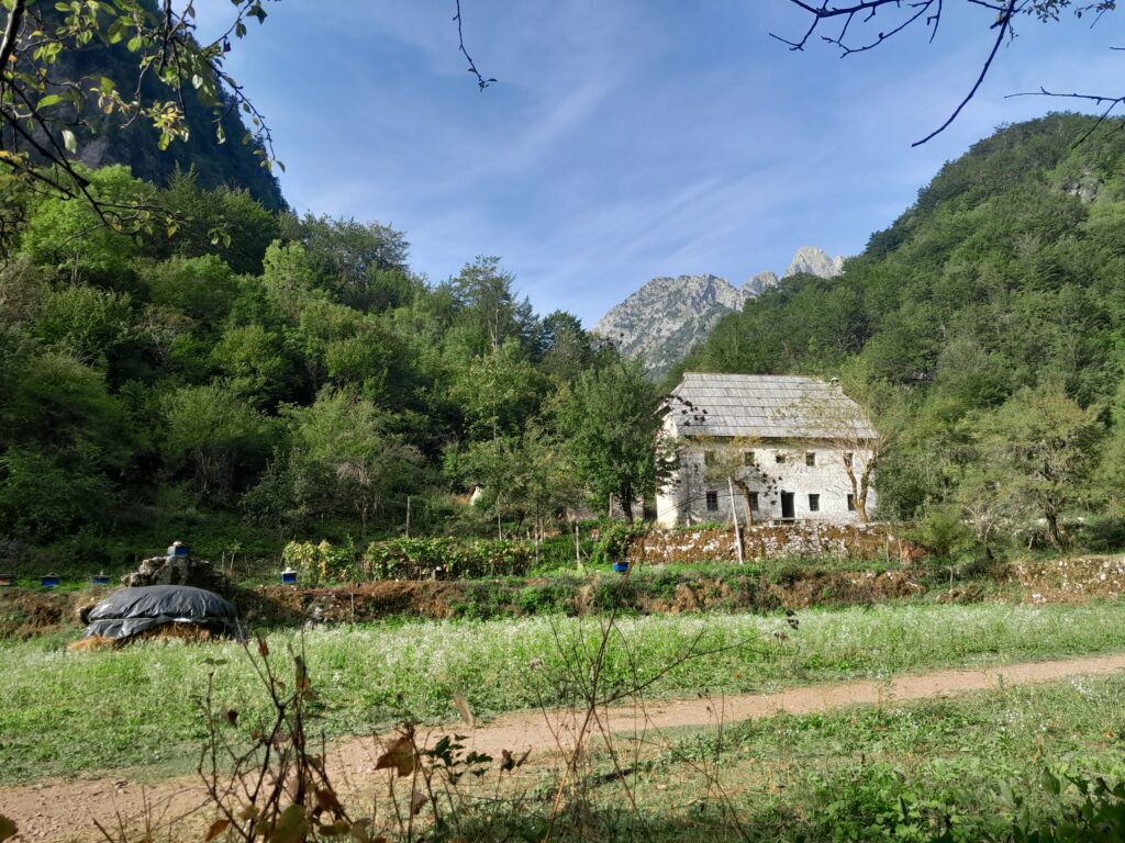 Traditional Albanian lunch served at a family guesthouse in Theth village