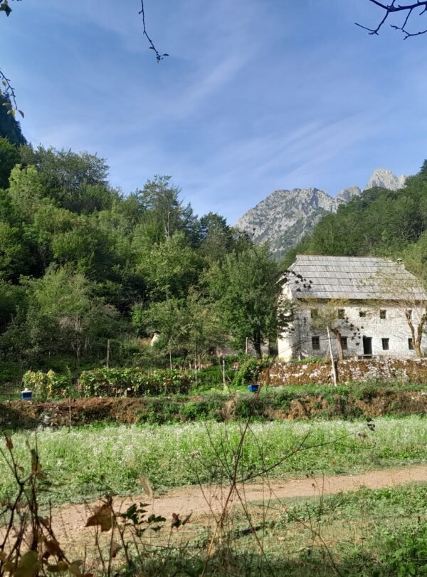 Traditional Albanian lunch served at a family guesthouse in Theth village